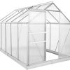 Zelsius Serre en Aluminium pour Le Jardin | 310 x Zelsius Serre en Aluminium pour Le Jardin | 310 x 190 cm | Panneaux de 6 mm | Utilisable Serre à tomates, châssis de Couche et Serre à Plantes (avec Base)