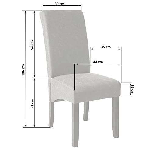 TecTake Lot de 2 chaises de salle à manger 106 cm chaise de salon mobilier meuble de salon Crème | No. 401295 diverses couleurs au choix