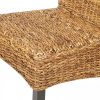 61FlLSS4MXL._SL500_.jpg vidaXL 2X Chaise Salle à Manger Abaca Marron Chaise de Cuisine Chaise à Manger