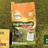51Qu4g7KMFL._AC_.jpg Solabiol SOGAZYPRO5 Engrais Gazon Professionnel 1 X 5 Kg | Gazon Dense et Croissance controlée