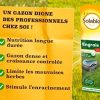 51kpZ4pOutL._AC_.jpg Solabiol SOGAZYPRO5 Engrais Gazon Professionnel 1 X 5 Kg | Gazon Dense et Croissance controlée
