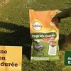 51o-Gw7u1gL._AC_.jpg Solabiol SOGAZYPRO5 Engrais Gazon Professionnel 1 X 5 Kg | Gazon Dense et Croissance controlée
