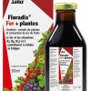Floradix Fer Liquide avec Vitamine C 500ml Floradix Fer Liquide avec Vitamine C 500ml
