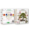 Kit Bonsai et Fleur Végétalius Made in France Kit Bonsai et Fleur Végétalius Made in France