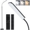 Lampadaire LED avec Télécommande et Minuterie Lampadaire LED avec Télécommande et Minuterie