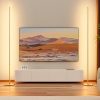 Lampadaire LED Dimmable Élégant en Pack de 2 Lampadaire LED Dimmable Élégant en Pack de 2