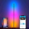 Lampadaire LED Govee RGBIC avec WiFi Lampadaire LED Govee RGBIC avec WiFi
