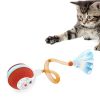 Balle Interactive pour Chats avec Queue Élastique