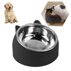 Bol en Acier Inoxydable pour Chats