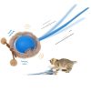 Boule Interactive pour Chat - Jouet Rechargeable Boule Interactive pour Chat - Jouet Rechargeable