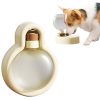 Bouteille d'eau portable pour chien