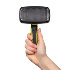 Bunty Brosse auto-nettoyante chiens/chats, bouton rétractable Brosse auto-nettoyante pour animaux de compagnie