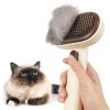 Brosse Autonettoyante pour Chats et Chiens
