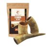 Cornes de Buffle Indestructibles pour Chiens Cornes de Buffle Indestructibles pour Chiens
