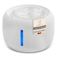 Fontaine à Eau Silencieuse pour Chats