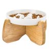 Gamelle Anti Glouton Surélevée pour Chats Gamelle Anti Glouton Surélevée pour Chats