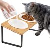 Gamelle Chat Surélevée Anti Vomissement