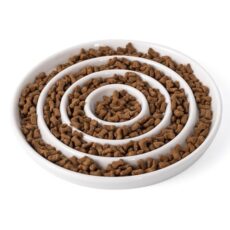 Gamelle en Céramique Anti Vomissements pour Chat
