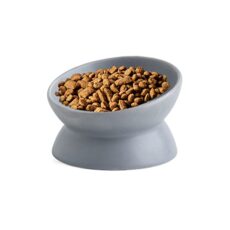 Gamelle Inclinée en Céramique pour Chats