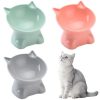 Gamelle Inclinée Pour Chats et Chiens
