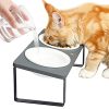Gamelle Élevée Anti Vomissement pour Chat