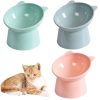 Gamelles Surélevées Anti-vomissements pour Chats