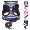 Harnais Anti-Traction Bleu pour Chiens et Chats Harnais Anti-Traction Bleu pour Chiens et Chats