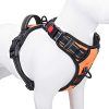 Harnais Anti-Traction Réfléchissant pour Petit Chien Harnais Anti-Traction Réfléchissant pour Petit Chien