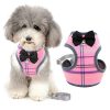Harnais et Laisse pour Petit Chien Rose Harnais et Laisse pour Petit Chien Rose