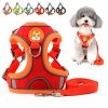 Harnais et Laisse Réfléchissants pour Petit Chien Harnais et Laisse Réfléchissants pour Petit Chien