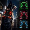 Harnais Lumineux Réglable pour Chien