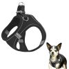 Harnais Réfléchissant pour Petits Chiens Harnais Réfléchissant pour Petits Chiens