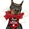 Jouet Indestructible Chien en Nylon Jouet Indestructible Chien en Nylon