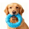 Jouet Indestructible pour Chiens en Caoutchouc Jouet Indestructible pour Chiens en Caoutchouc