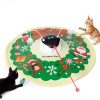 Jouet Interactif 5-en-1 Pour Chats Jouet Interactif 5-en-1 Pour Chats