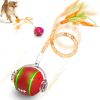 Jouet Interactif pour Chat avec Plume Jouet Interactif pour Chat avec Plume