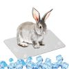 Plaque de Refroidissement Aluminium pour Animaux Plaque de Refroidissement Aluminium pour Animaux