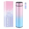 Bouteille Isotherme Flintronic 500ML