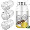 Lot de 3 infuseurs à fruits pour bouteilles Lot de 3 infuseurs à fruits pour bouteilles