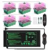 Mini Serre avec Lampe et Tapis Chauffant Mini Serre avec Lampe et Tapis Chauffant