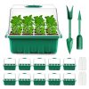 Mini Serre pour Plantes avec 10 Cellules Mini Serre pour Plantes avec 10 Cellules