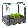 Mini Serre Relaxdays Transparent et Vert Mini Serre Relaxdays Transparent et Vert