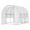 Serre de Jardin Tunnel 6 m² avec Fenêtres