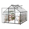 Serre en aluminium pour jardin 310 x 250 cm Serre en aluminium pour jardin 310 x 250 cm
