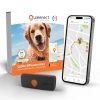 Weenect Chien XS - Traceur GPS Mini Weenect Chien XS - Traceur GPS Mini