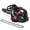 Elagueuse thermique 25cc avec 2 chaînes Elagueuse thermique 25cc avec 2 chaînes