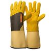 Gants de Jardinage RONCIER en Cuir Gants de Jardinage RONCIER en Cuir