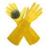 Gants de Travail en Cuir Résistants aux Épines